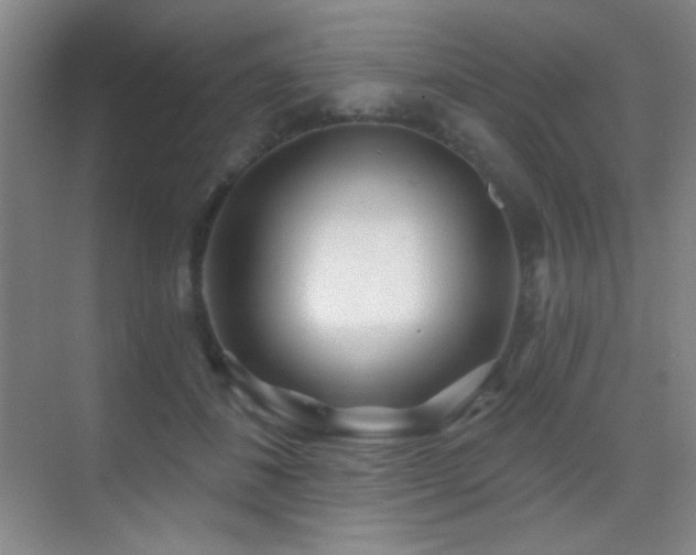 X0000070420508200606091241