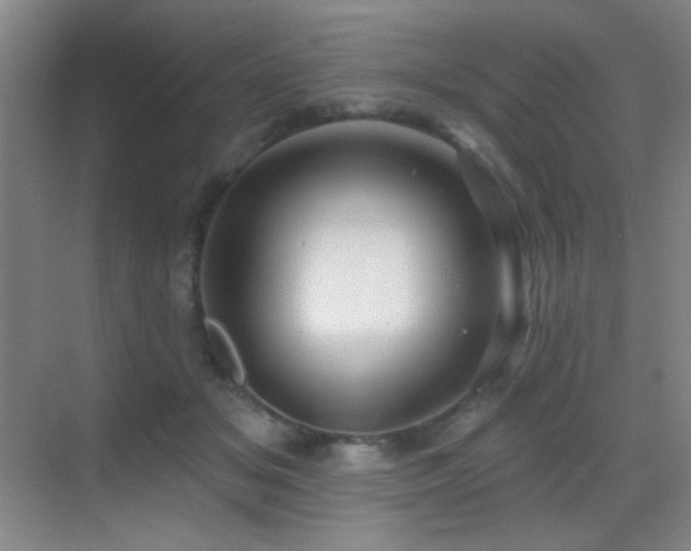 X0000070420509200606091241