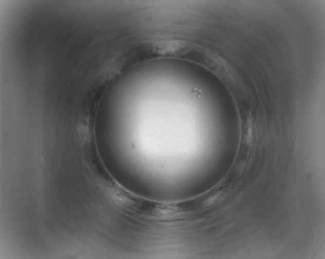 X0000070420510200606091241