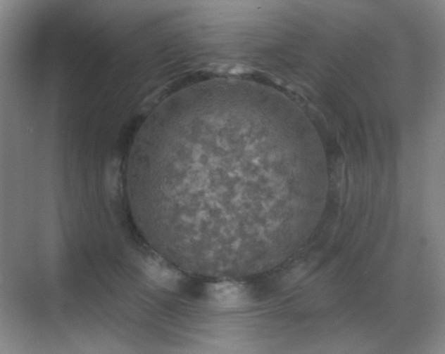 X0000070420511200606091241
