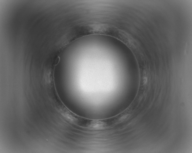 X0000070420514200606091241