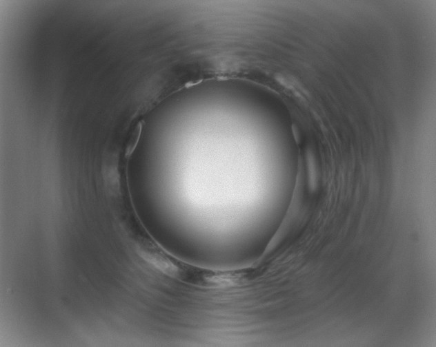 X0000070420516200606091241