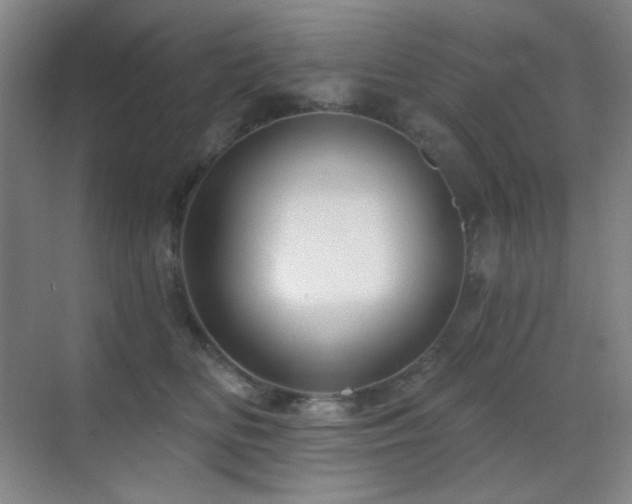 X0000070420518200606091241