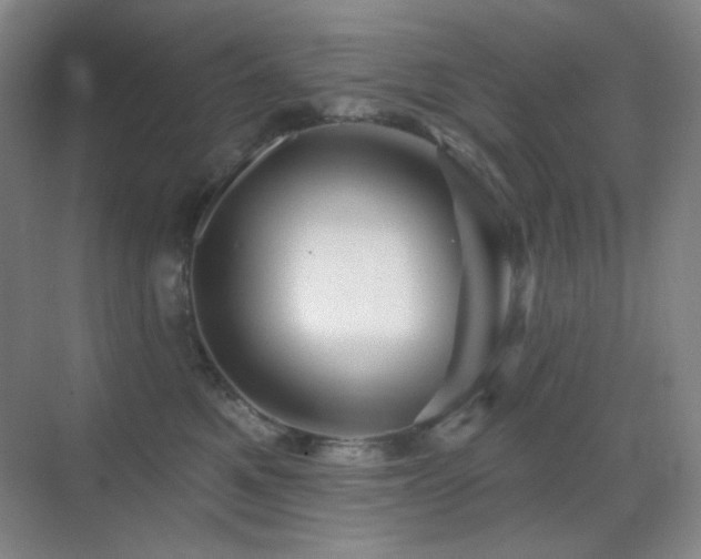 X0000070420521200606091241