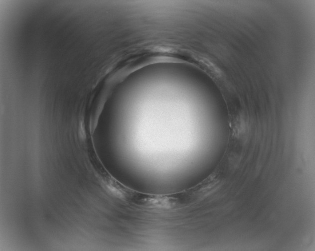 X0000070420524200606091241