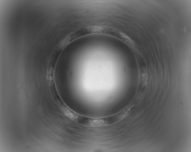 X0000070420525200606091241
