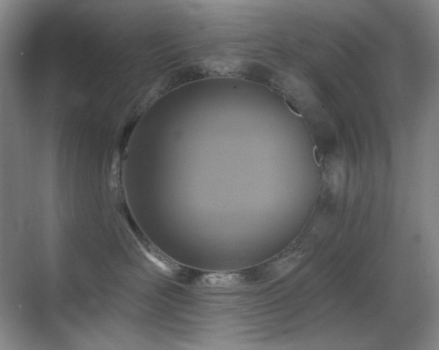 X0000070420526200606091241
