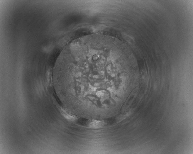 X0000070420527200606091241