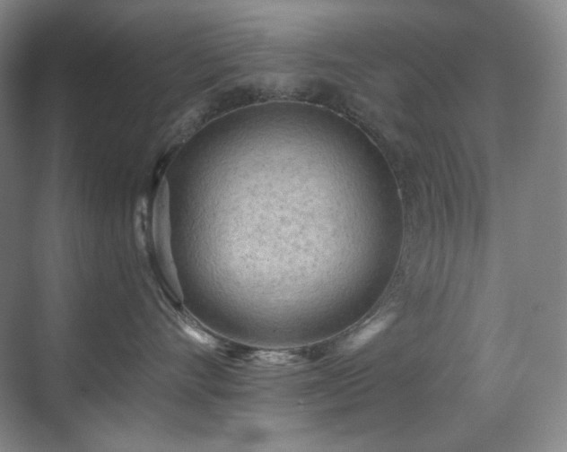 X0000070420528200606091241