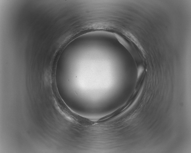 X0000070420530200606091240
