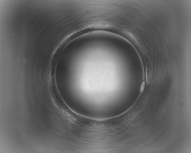 X0000070420531200606091240