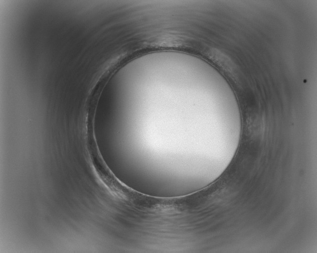 X0000070420534200606091240