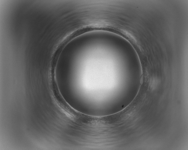 X0000070420535200606091240