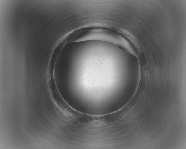X0000070420536200606091240