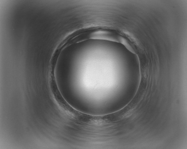 X0000070420540200606091240
