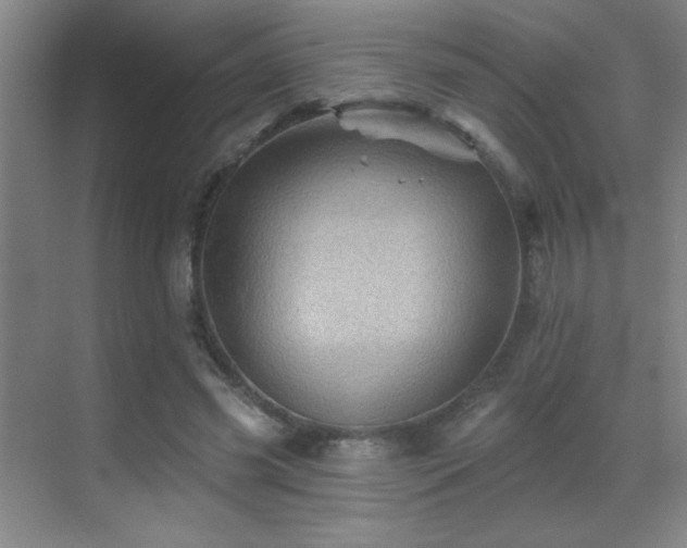 X0000070420541200606091240