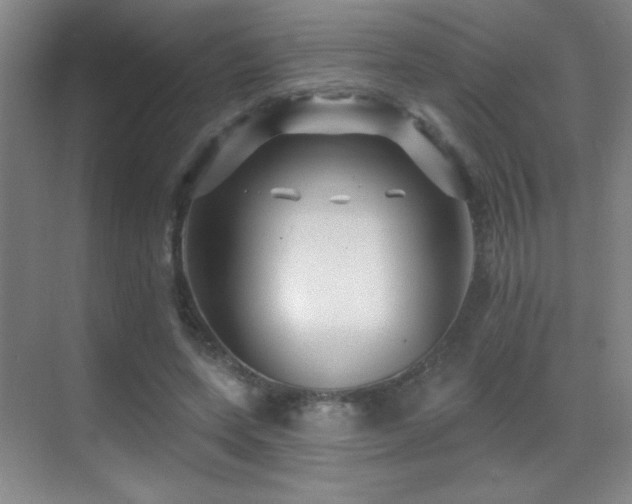 X0000070420543200606091240