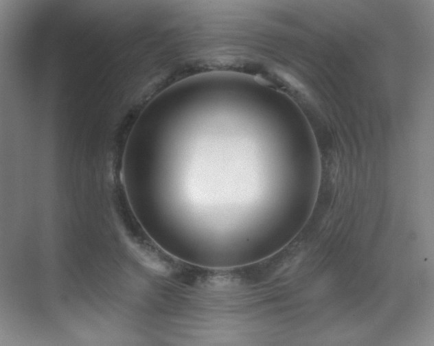 X0000070420546200606091240