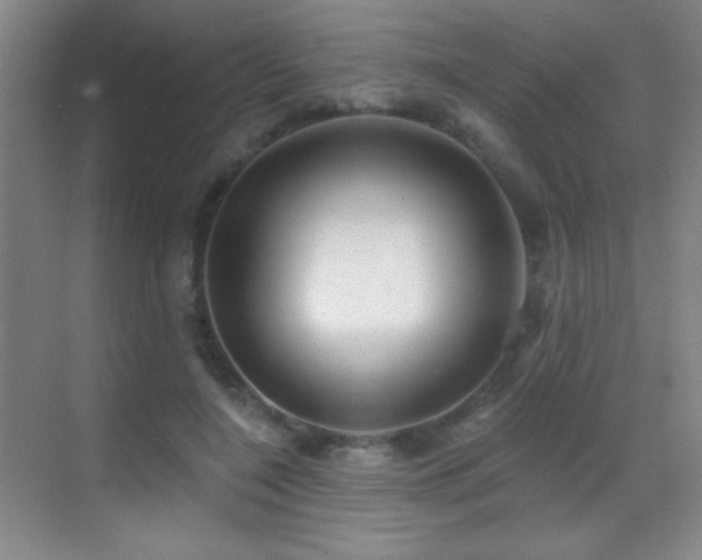 X0000070420548200606091241