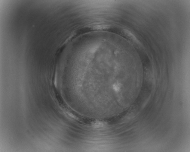 X0000070420549200606091241