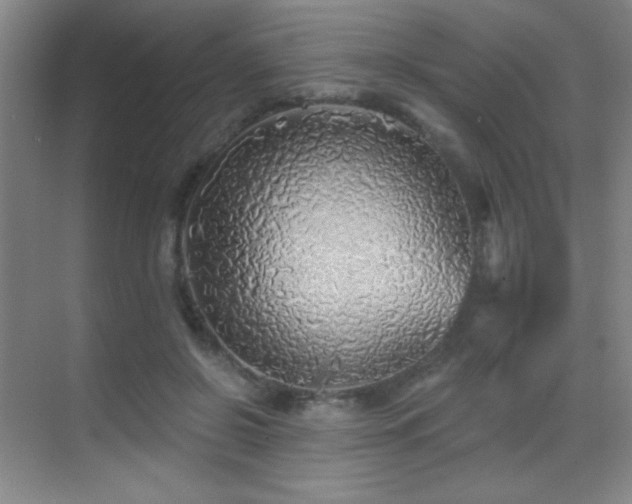 X0000070420550200606091241