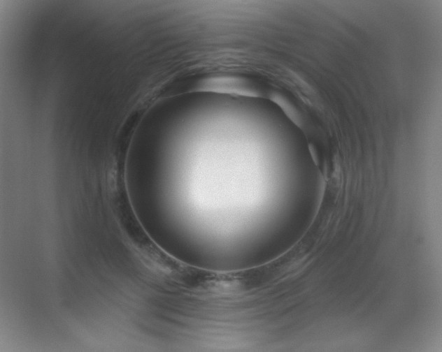 X0000070420552200606091241