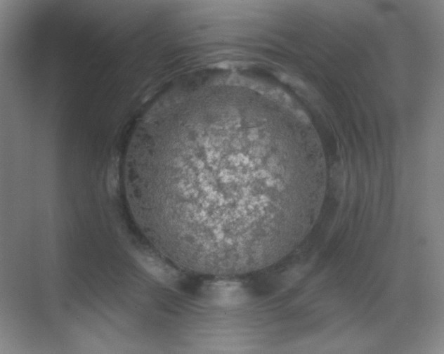 X0000070420554200606091241