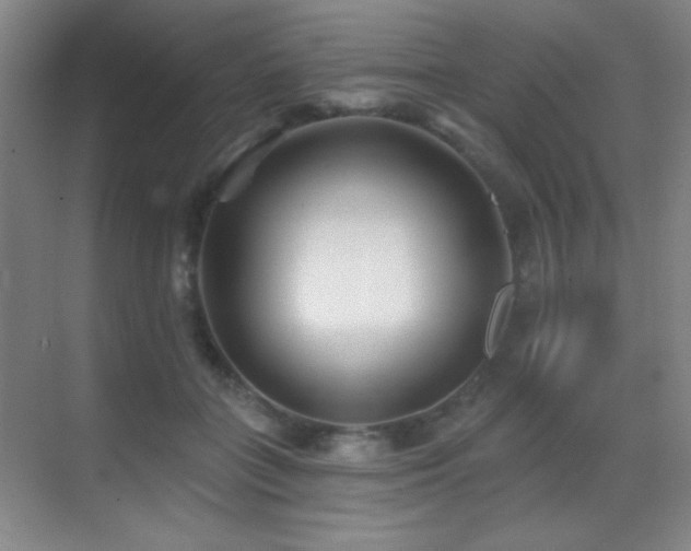 X0000070420555200606091241