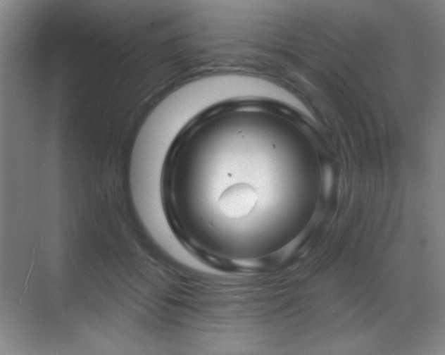 X0000070420556200606091241