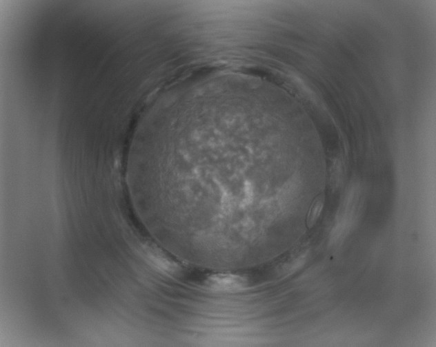 X0000070420557200606091241