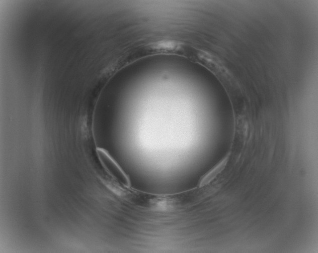 X0000070420564200606091241