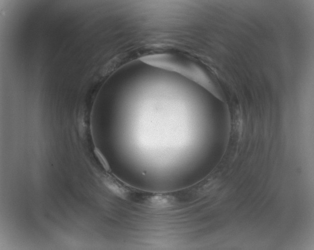 X0000070420566200606091241