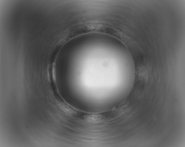 X0000070420567200606091241