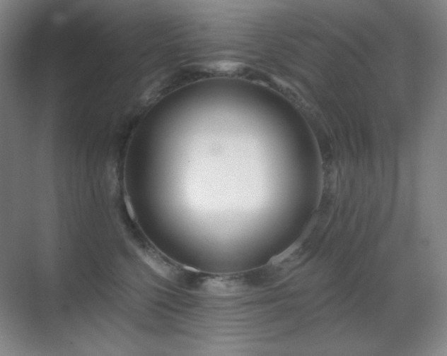 X0000070420568200606091241