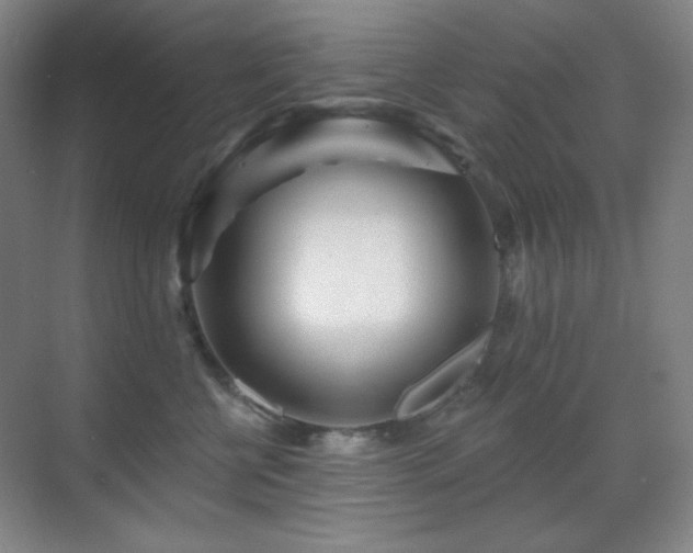 X0000070420570200606091241