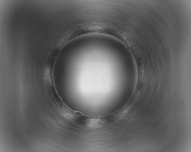 X0000070420575200606091241