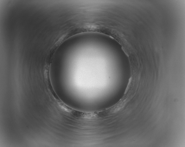 X0000070420576200606091241