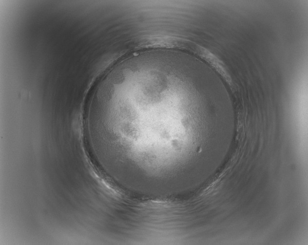 X0000070420578200606091240