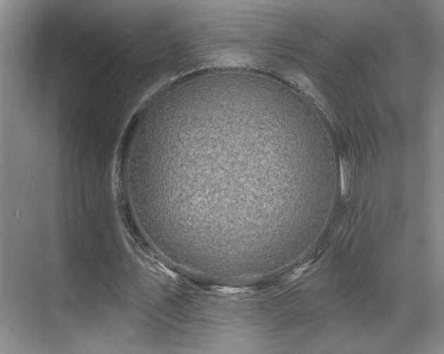 X0000070420579200606091240