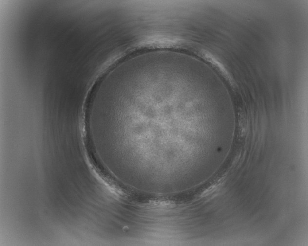 X0000070420582200606091240