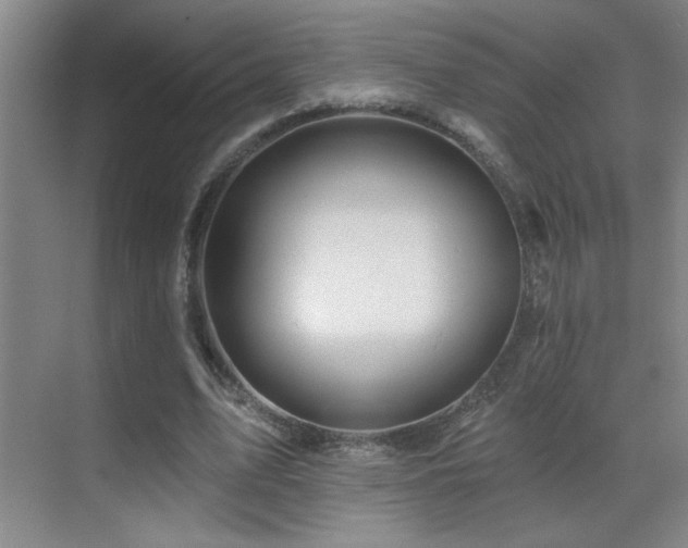 X0000070420583200606091240