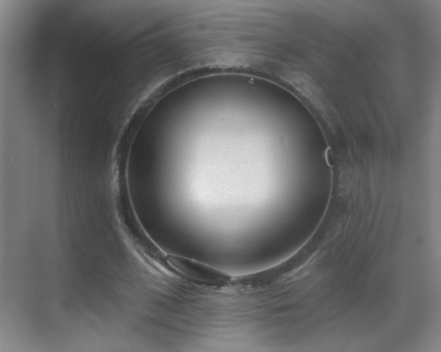 X0000070420584200606091240