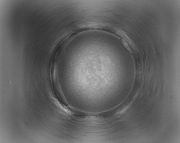 X0000070420585200606091240