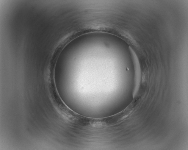 X0000070420587200606091240