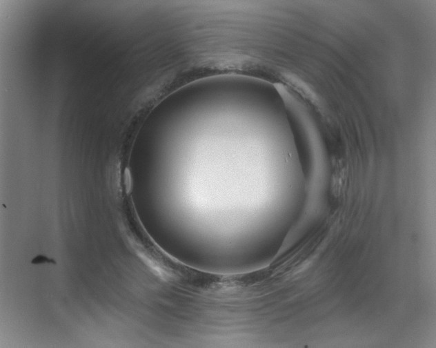 X0000070420589200606091240