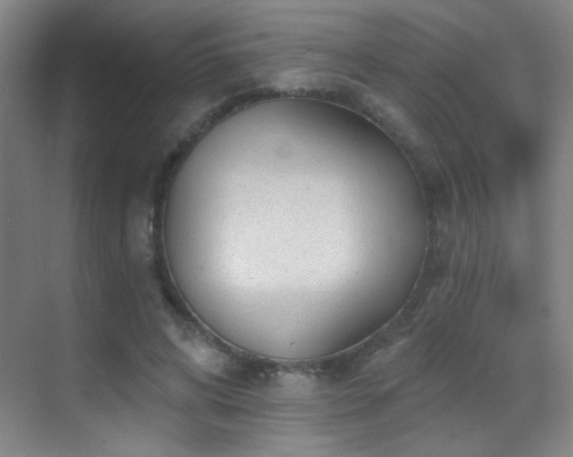 X0000070420592200606091240