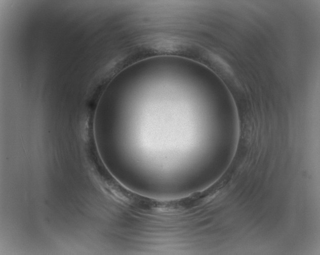 X0000070420596200606091240