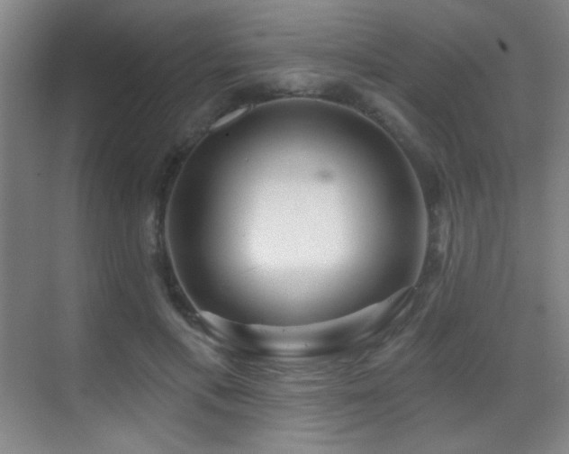 X0000070420597200606091240