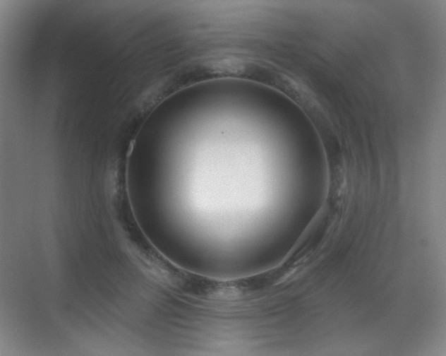 X0000070420600200606091240