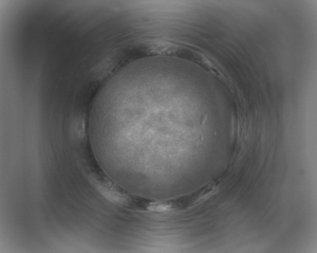 X0000070420602200606091240